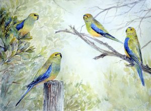 "Quartet" blue winged parrot