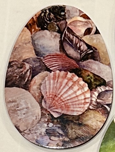 Tasmanian seashells pendant